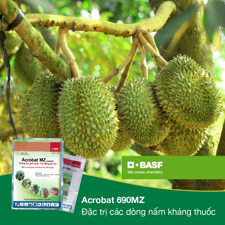 Thuốc trừ bệnh Acrobat MZ - Gói 500g